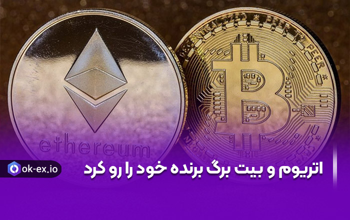 صرافی بیت برگ (Bitbarg)