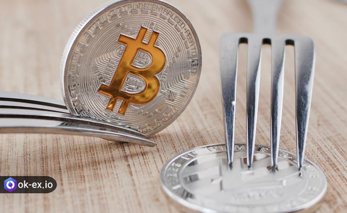 تفاوت اصلی بیت کوین و بیت کوین کش در چیست؟
