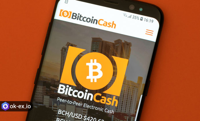 بیت کوین کش چیست؟