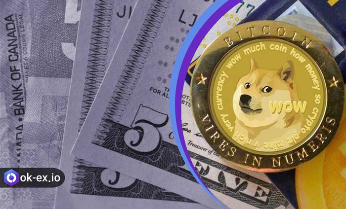 کیف پول دوج کوین چیست؟
