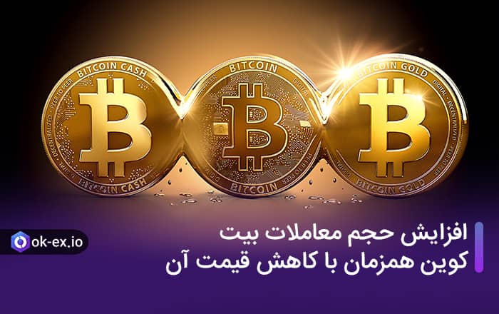 افزایش حجم معاملات بیت کوین همزمان با کاهش قیمت آن