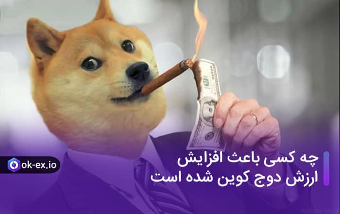 چه کسی باعث افزایش ارزش دوج کوین شده است