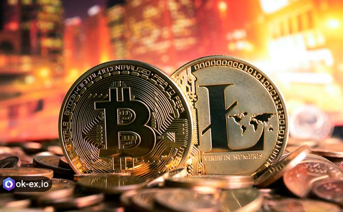 لایت کوین یا بیت کوین سرمایه گذاری کدام بهتر است؟