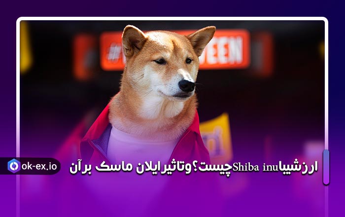 ارز شیبا