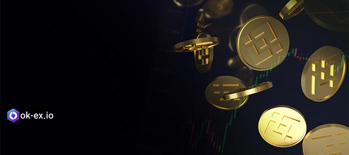 BNB چگونه کار میکند؟