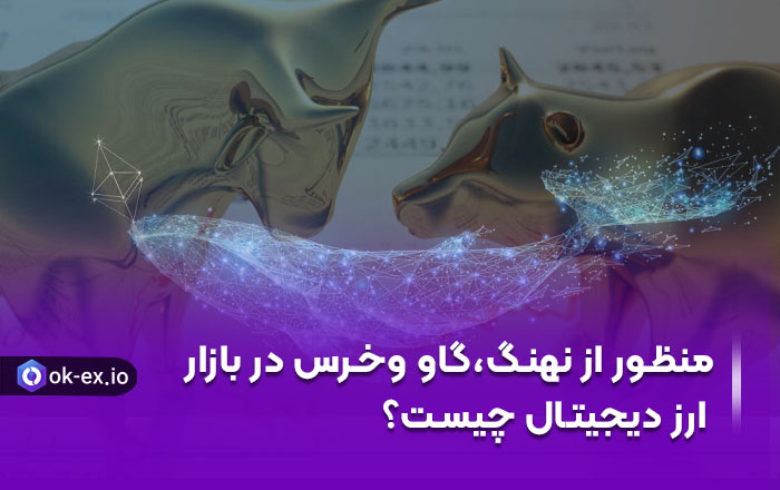 همه چیز درباره نهنگ ها و گاو ها و خرس ها