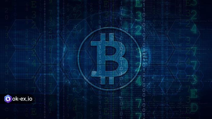 تاریخچه کیف پول کوینومی
