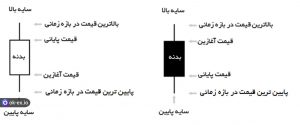 آناتومی و ساختار کندل ها