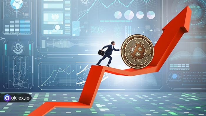 تفاوت بین سرمایه گذاری و ترید