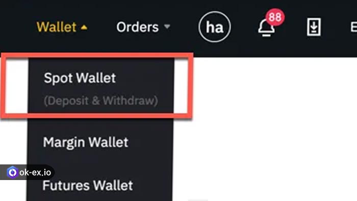 دیدین کیف پول