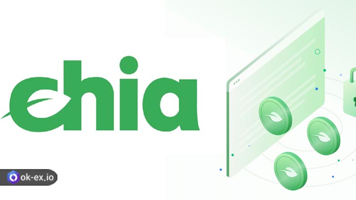 رمز ارز Chia چیست؟