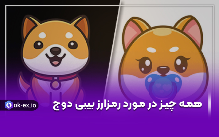 همه چیز راجع به بیبی دوج کوین
