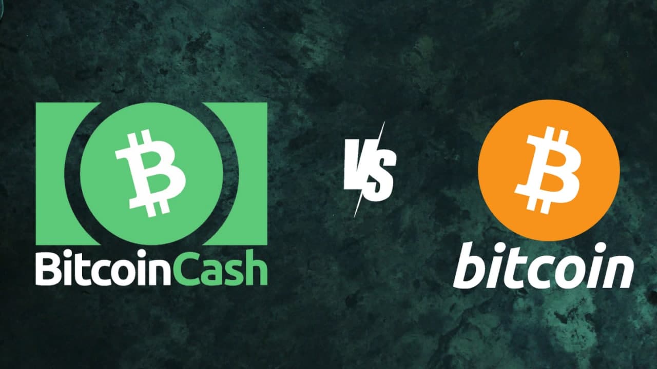 بیت کوین کش چیست؟ مقایسه آن با بیت کوین یا همان ارز دیجیتال BTC