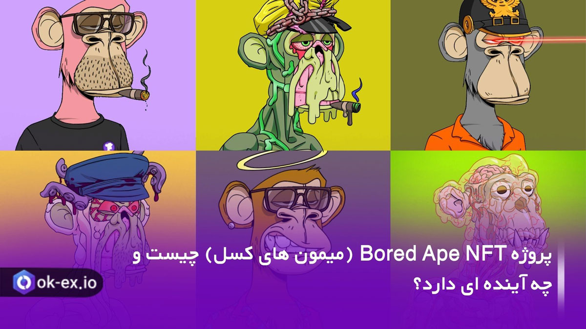 bored ape یا میمون های کسل و خسته چیست؟