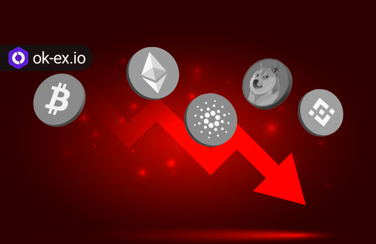 لیکوئید ارز دیجیتال