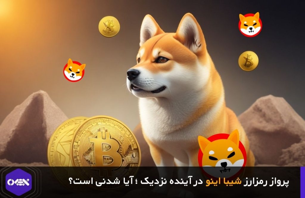 پرواز و رشد ارز شیبا اینو