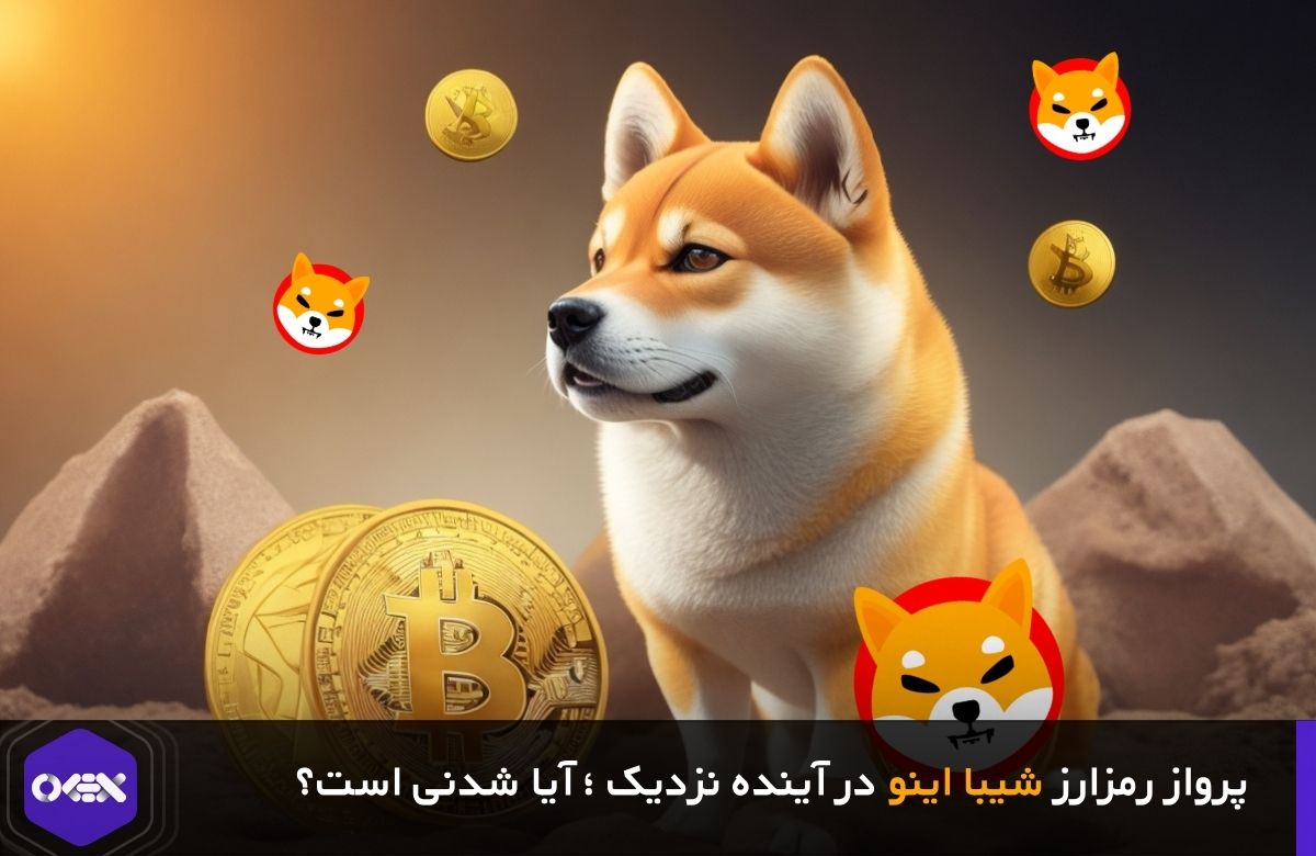 پرواز و رشد ارز شیبا اینو
