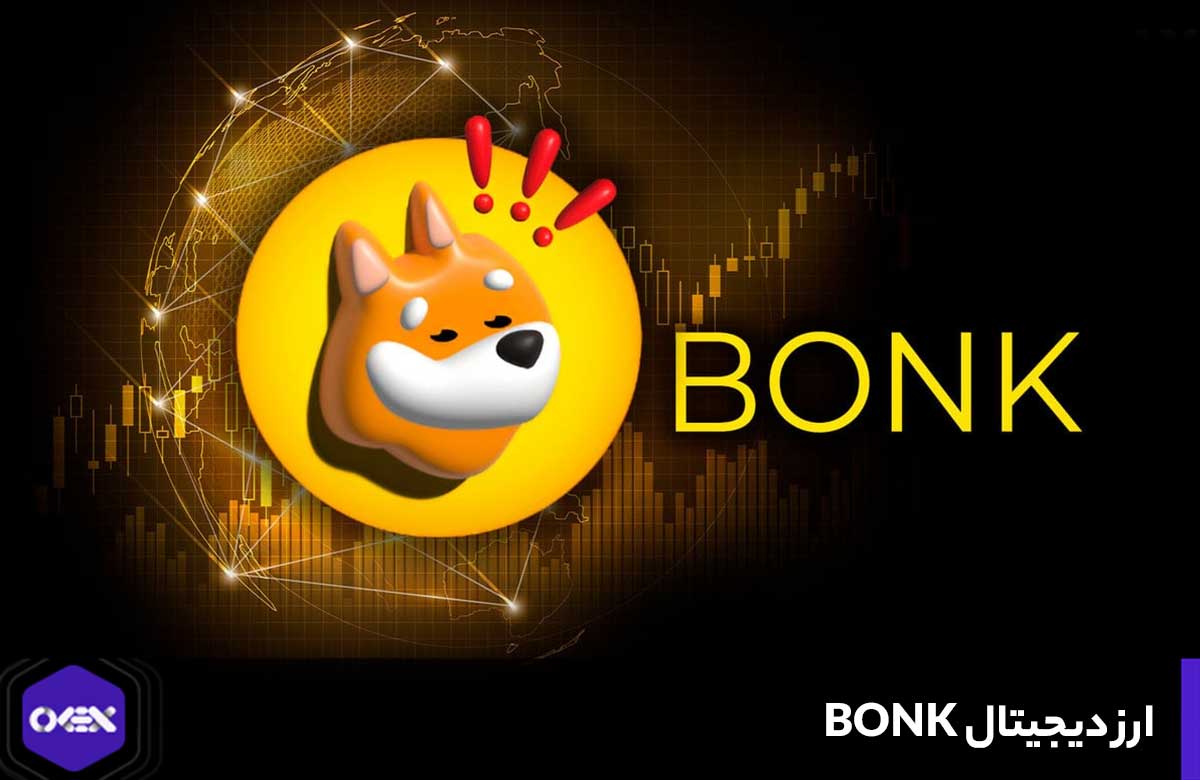 توکن و میم کوین bonk