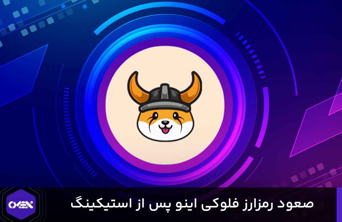 افزایش قیمت ارز فلوکی پس از استیکینگ
