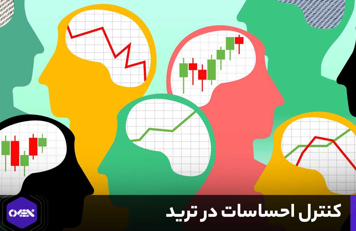 انواع احساسات و کنترل آنها در ترید ارزهای دیجیتال