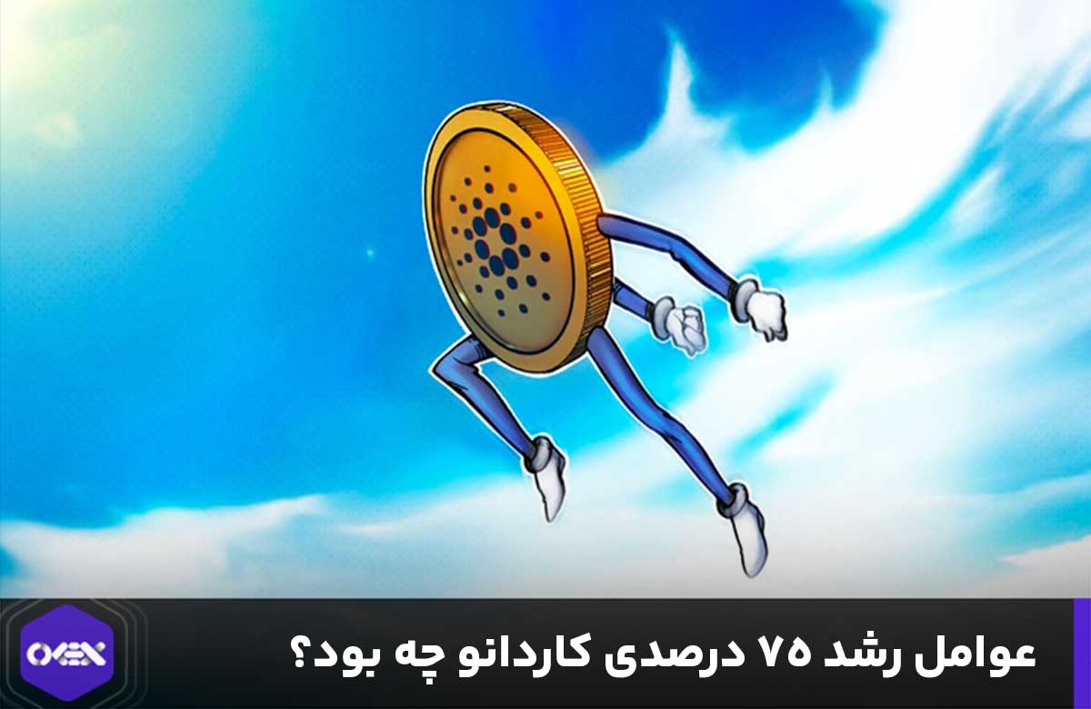 افزایش و رشد قیمت کاردانو