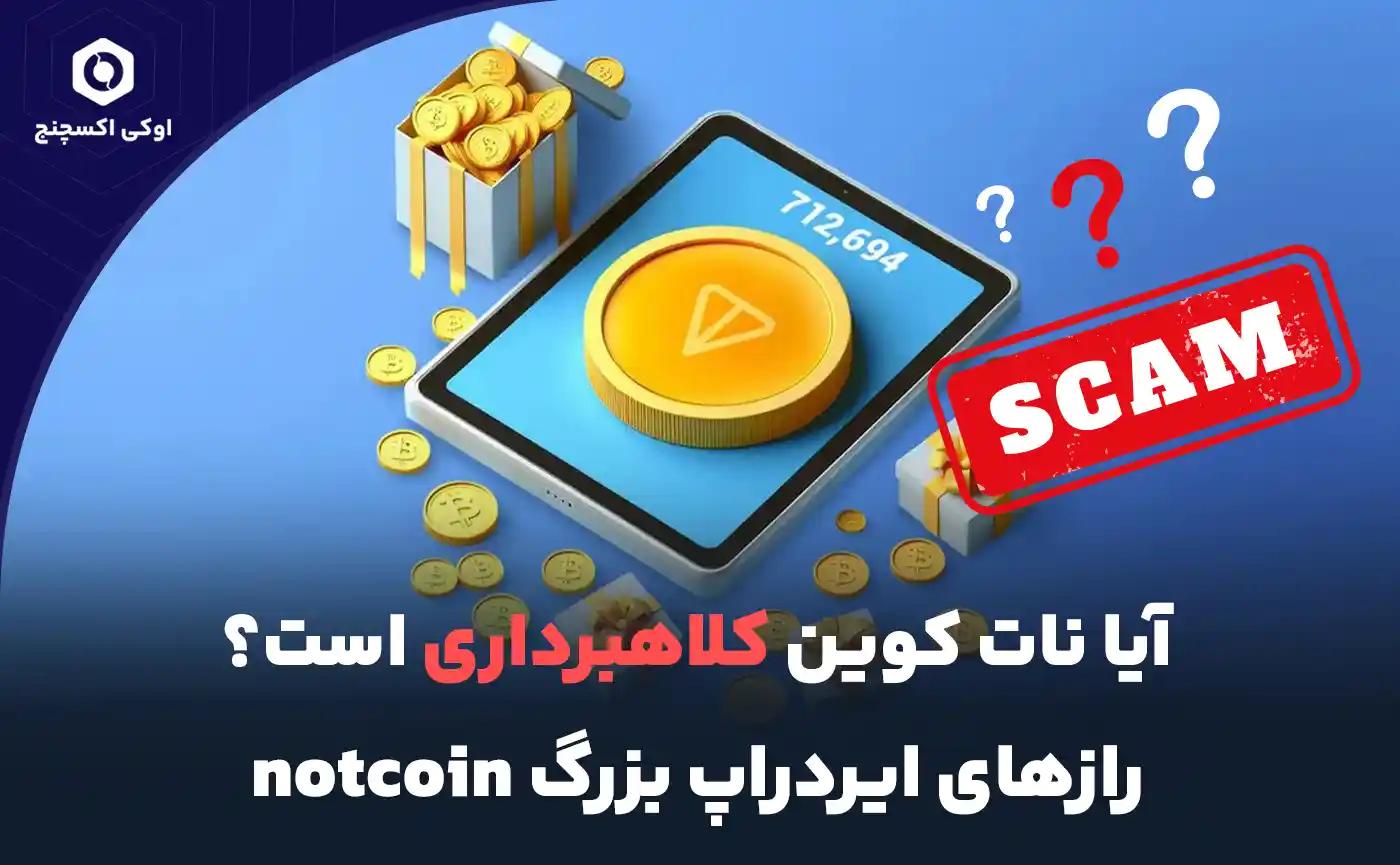 نات کوین چیست؟
