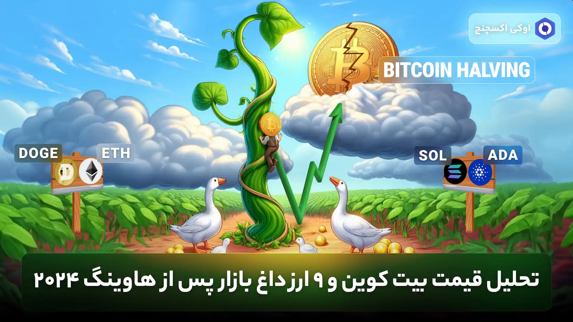 قیمت ارزهای دیجیتال پس از هاوینگ بیت کوین