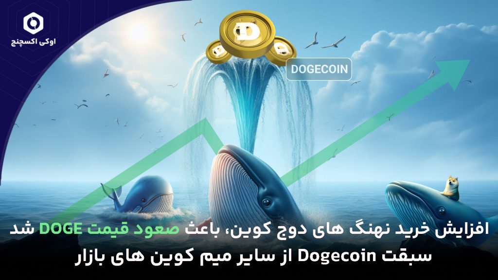علت رشد قیمت دوج کوین (DOGE)