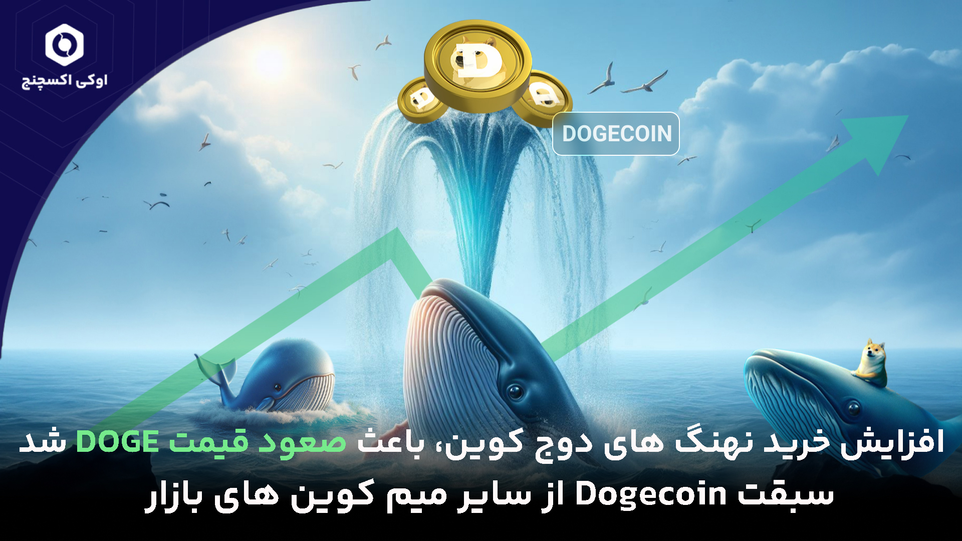 علت رشد قیمت دوج کوین (DOGE)