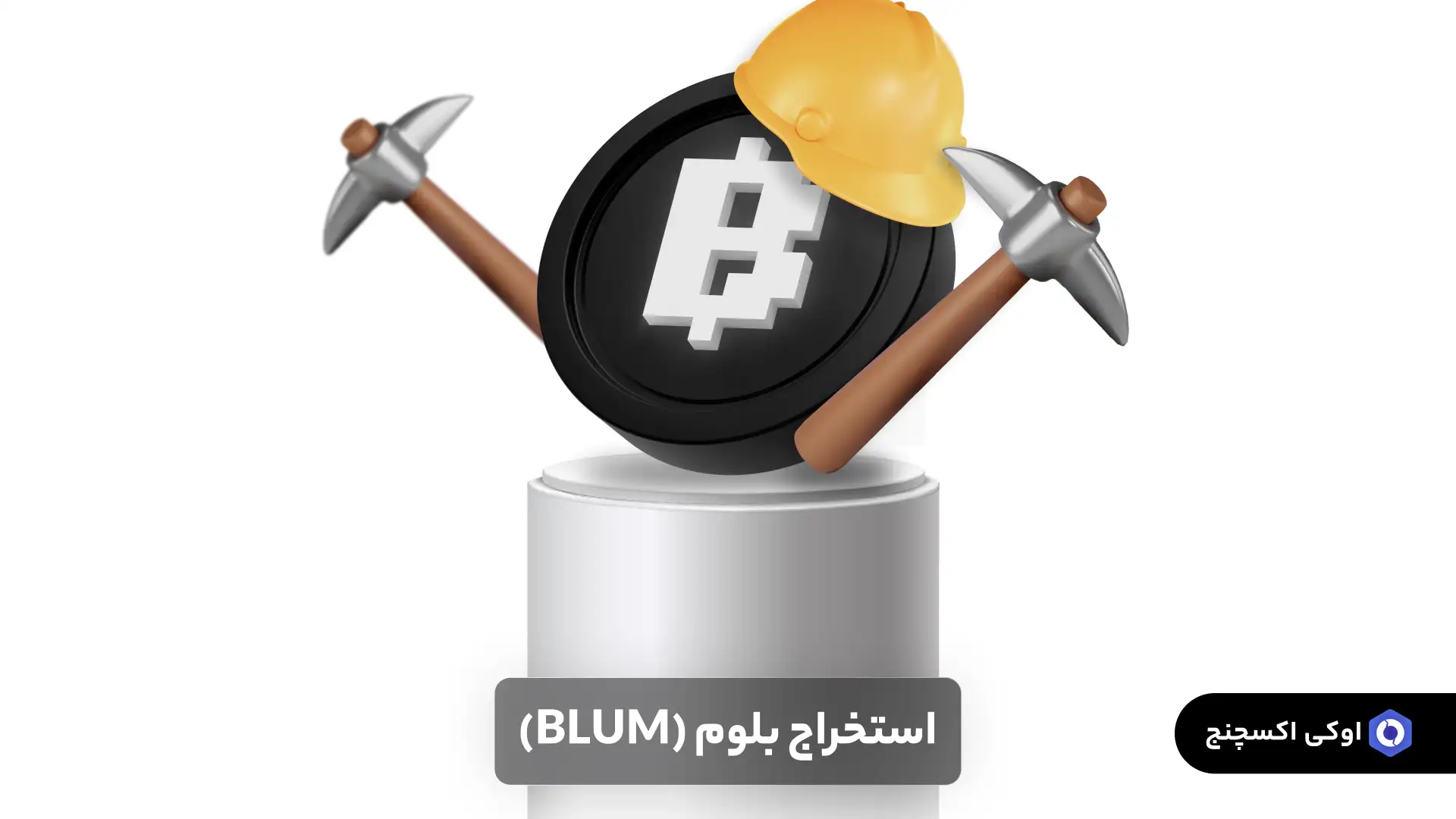 استخراج بلوم