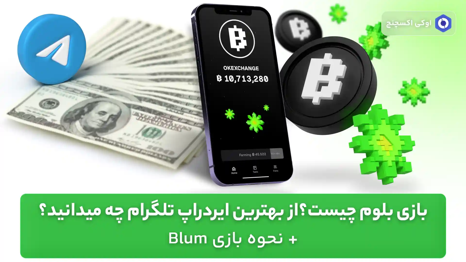 بلوم چیست؟ آموزش بازی بلوم
