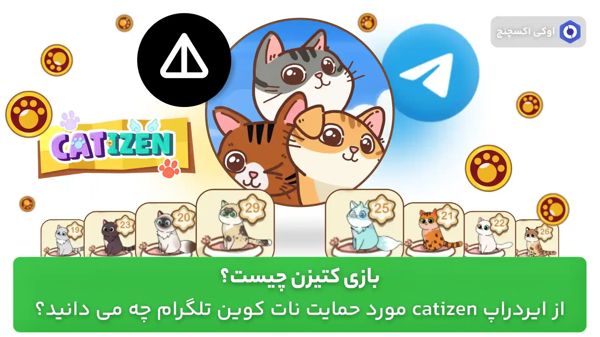 بازی Catizen چیست