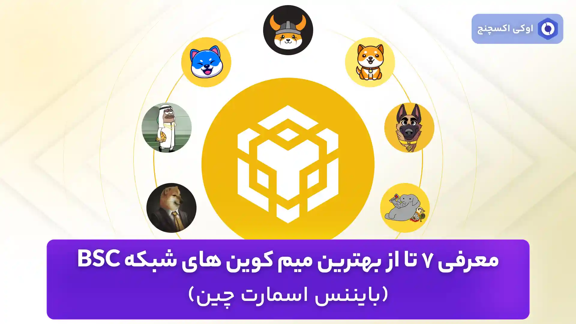 بهترین میم کوین های شبکه BSC
