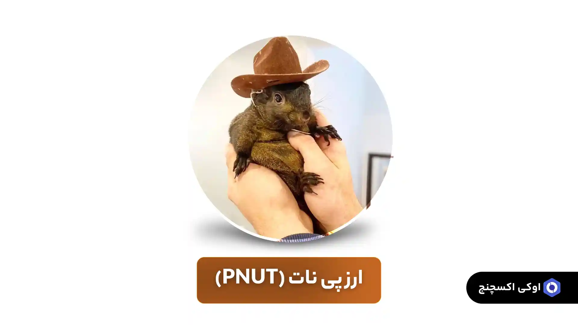 پیش بینی قیمت PNUT توسط هوش مصنوعی