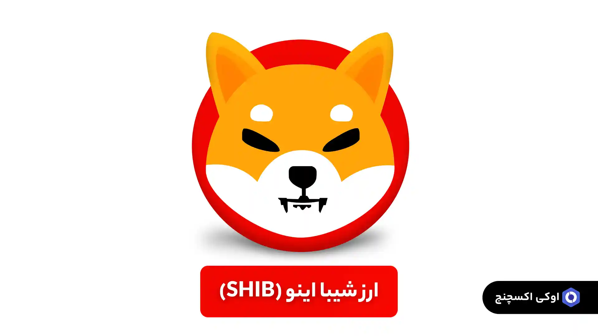 پیش بینی قیمت شیبا توسط هوش مصنوعی